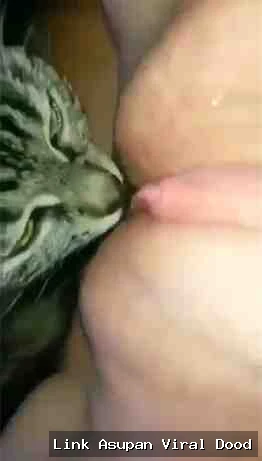 Background for Bocil Smp Suka Dijilatin Kucing Memewnya